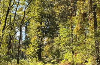 Apartment Spitzwegerich by Interhome - Foto 24