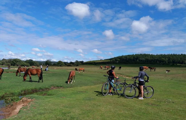 Forest Palms - Foto 27