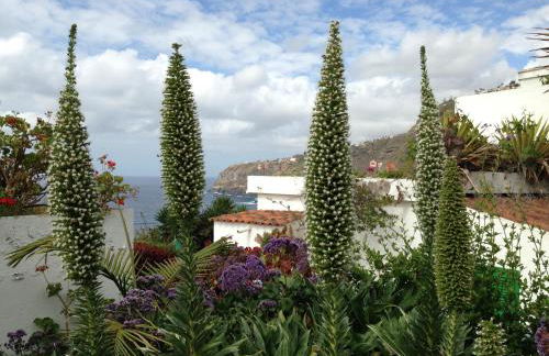 Apartments Finca El Rincón - Foto 41