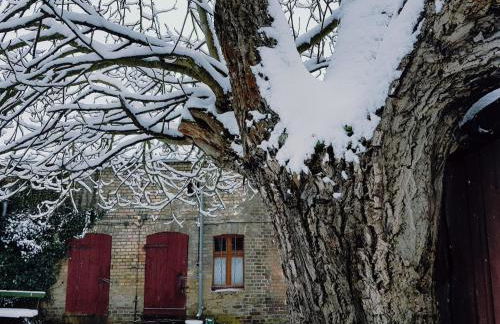 Zum alten Müller-Jäger - Foto 36