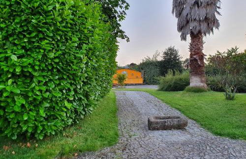 Casa dos Chãos - Foto 33