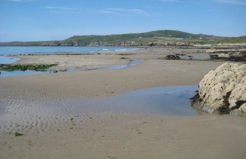 Oyster Catcher - Foto 19