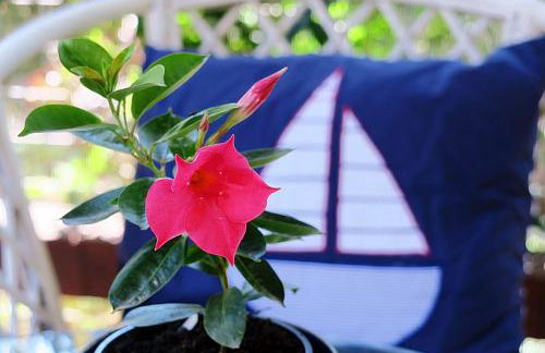 Apartments Vera - Foto 11