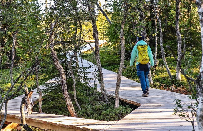 8 Person Holiday Home in Lofsdalen - Foto 14