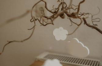 Weissewolke - Foto 10