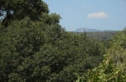 Maison en Provence La Cascatelle 6-8 pers - Foto 25