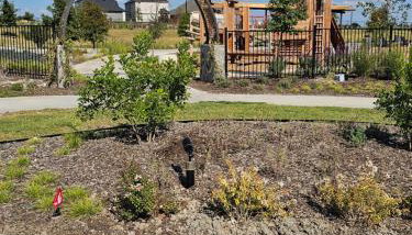 Talia Heaven - Foto 3