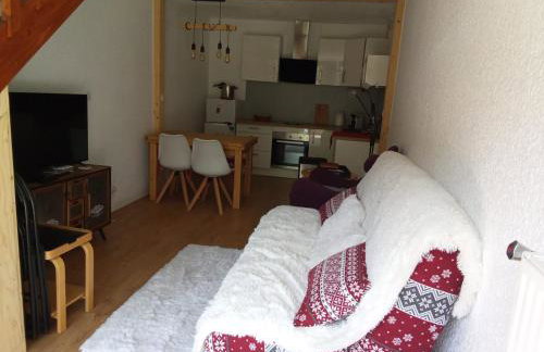 L’ALPIN AU PIED DES PISTES ET COMMERCES - Foto 6