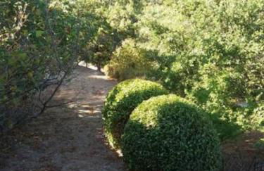 Superbe Mas Authentique du Luberon Courroussouvo - Foto 14