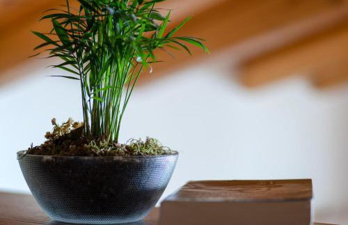 Pantheon Attic - Foto 11