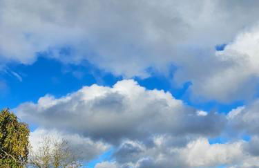 Waldblick-Nest - Foto 11
