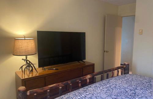 Waterfront Mountain Fun-Jack Frost Walk On Whole House - Foto 8