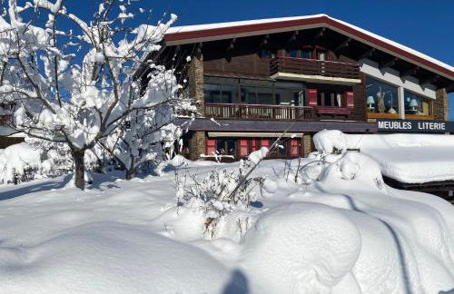 appartement 103m2 près de Megève, face à télécabine la Princesse,2 chambres , garage, local à ski - Foto 41
