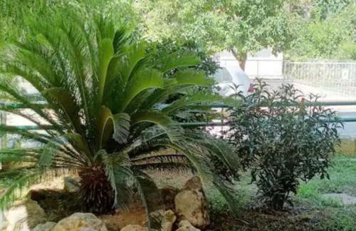 Candy Studio Marousi - Foto 24