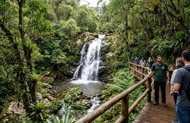 Day Trip to Campos do Jordão - Photo 2