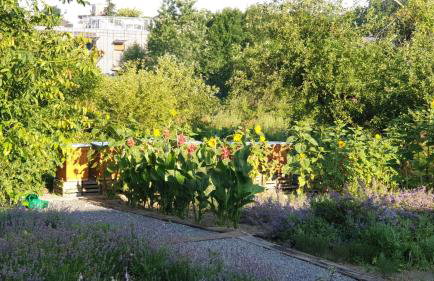 Agroturystyka u Joli - Foto 10