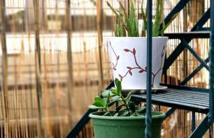 Elizas house - Foto 14