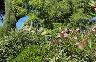 GITES - Mas Saint-Louis - Piscine chauffée - Foto 58