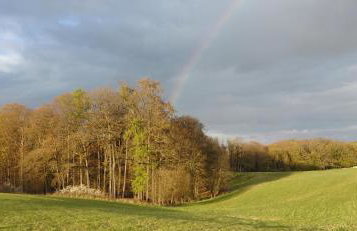 Waldzauber Wellness Appartement Dtv geprüft - Foto 3