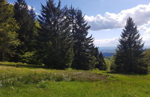 Ferienwohnung 32 im Ferienland Sonnenwald - Bayerischer Wald - Foto 17