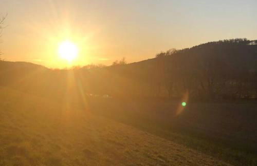 Ferienwohnung Tillmanns - Foto 32