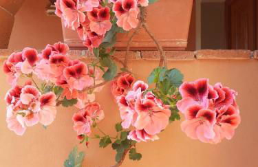 Agriturismo Tenuta Mariani - Foto 20