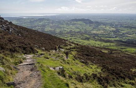 Sarah’s cottage - Foto 24