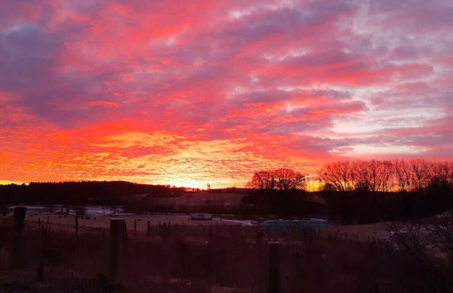 Time out Modern Retreat - Photo 13