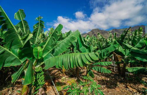 CASA EMBLEMÁTICA MARUCA y LELI - Foto 19