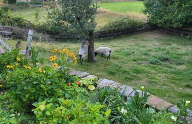 Souterrainwohnung im Grünen - Foto 37