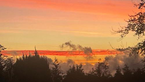 Quinta Das Faias - Foto 5