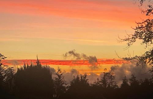 Quinta Das Faias - Foto 5