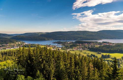 Haus Wiesenquelle - Fewo 10 "Uff'm Berg", Feldberg - Foto 22