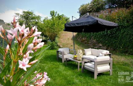 Barbara tra gli Ulivi - Foto 40