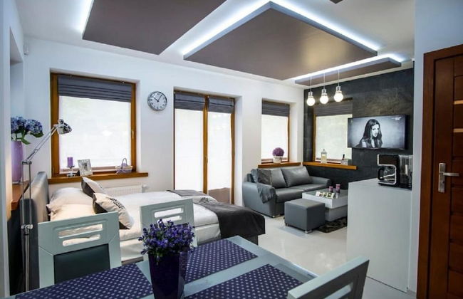 Apart-Center Zakopianskie Tarasy Spa - Photo 69