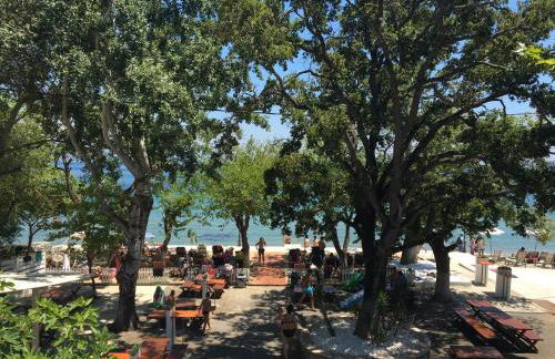 Malibu Summer Studios - Foto 3