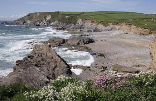 Little Content Farm Cottage - Foto 17