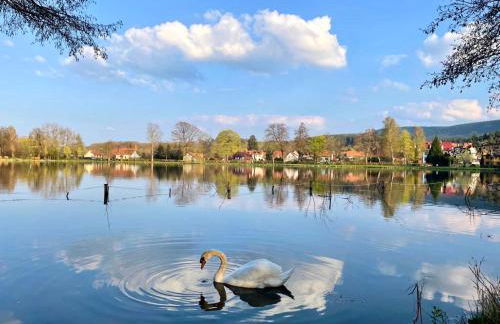 Traumferienwohnungen Georgenthal - Foto 62