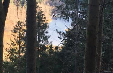 Fewo Nationalpark Schwarzwald - Foto 31