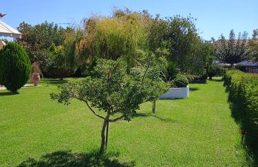 Katerina house - Foto 15