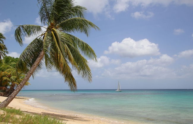 Lantana by Bluescape - Foto 46