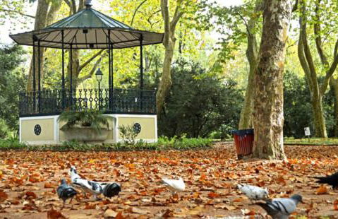 Casa dos Capinha - Photo 30