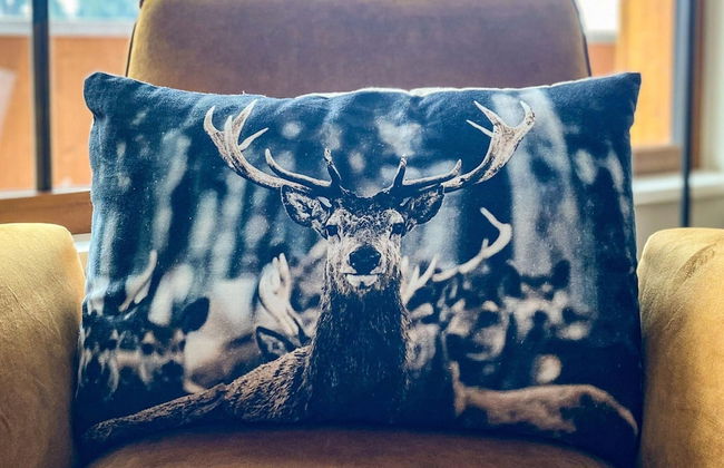 Luxury Apartment With Sauna, First ski Lift at 600m - Foto 18