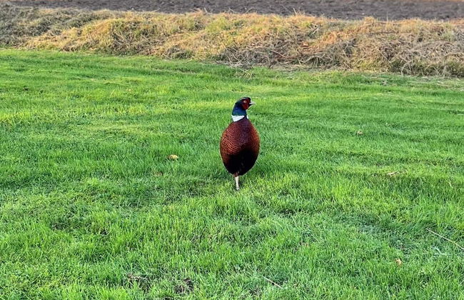 Alluring Holiday Home in Syddanmark near Sea - Foto 22