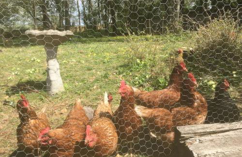 Cosy retreat in the heart of the Cotswolds. - Foto 15