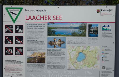 Fewo am Wingertsberg Glees Laacher See - Foto 29