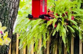 The Boutique Guest House - Photo 46