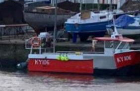 Daisy Cottage - Foto 10