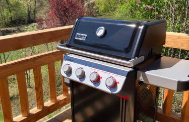 Magnifique chalet neuf Pelvoux Vallouise Puy Saint Vincent - Foto 2