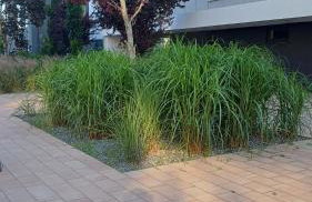 APARTAMENT DaViMa AQUAPARK Rumia - Novum - Foto 21